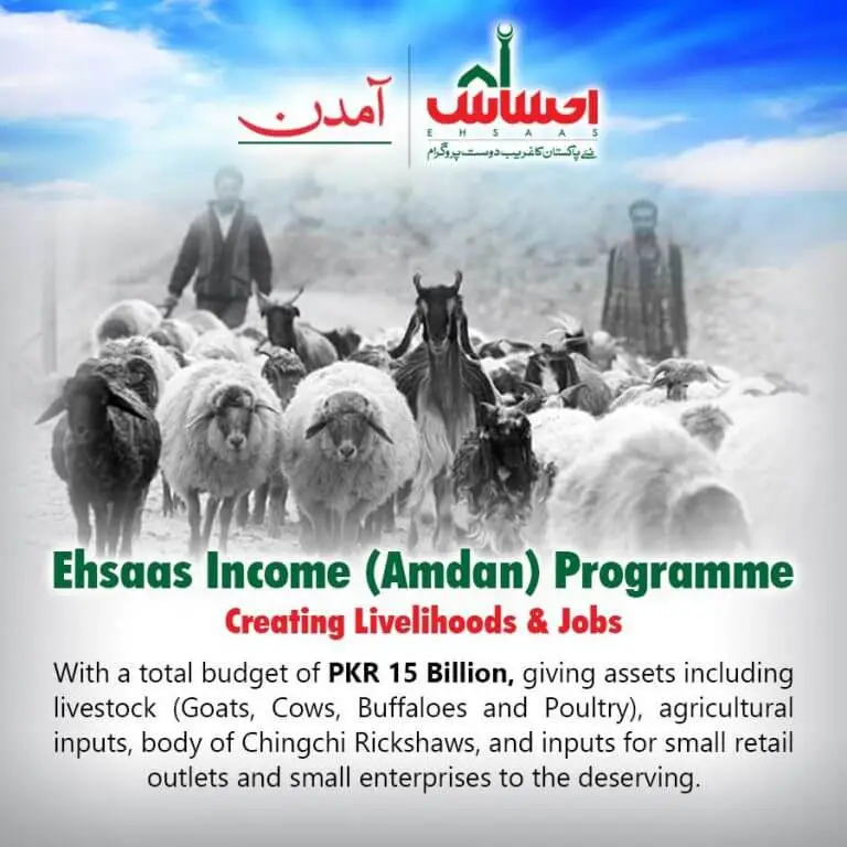 Ehsaas Amdan (Income)